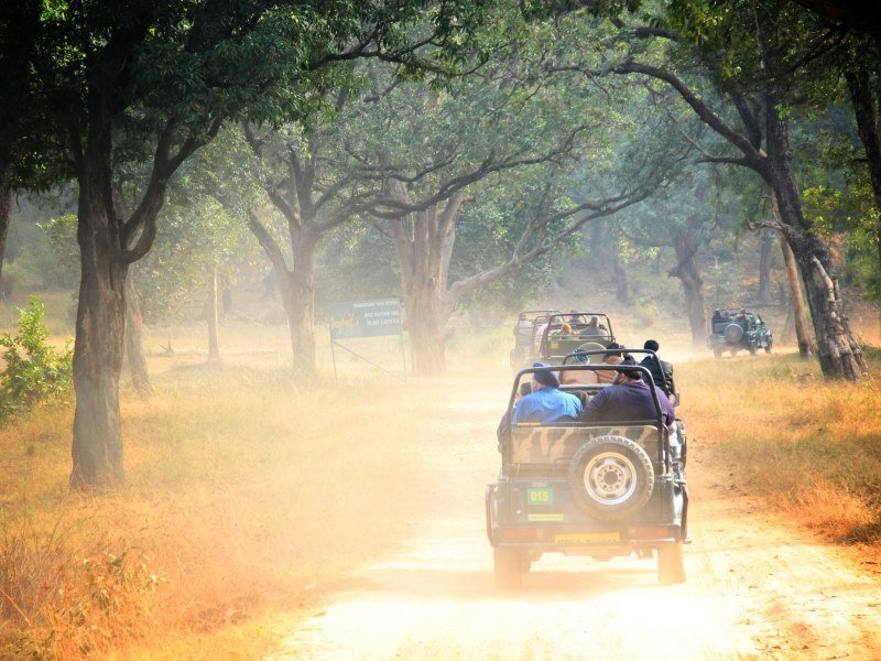 2 Wochen Tiger Safari