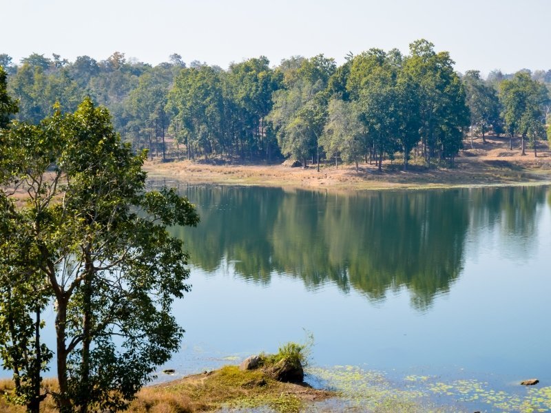 2 Wochen Tiger Safari