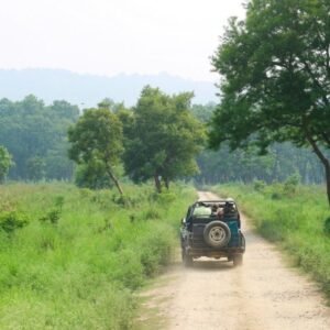 2 Wochen Indien Safari