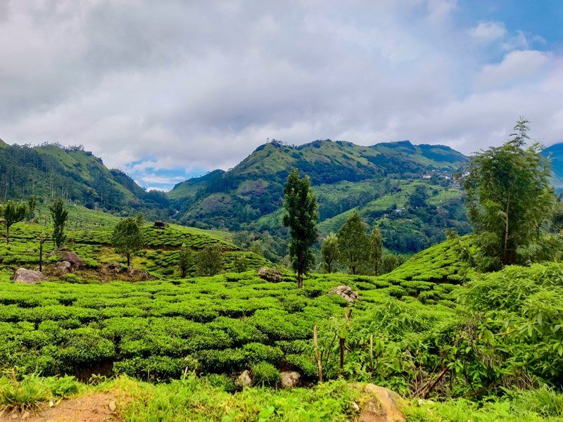 2 Wochen Indien Safari