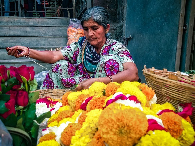 2 Wochen Tiger Safari