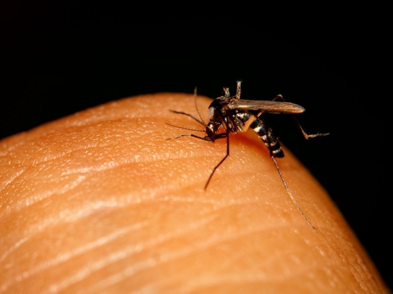 Impfungen fuer eine Indien Reise 1 - Kolumbien Individual