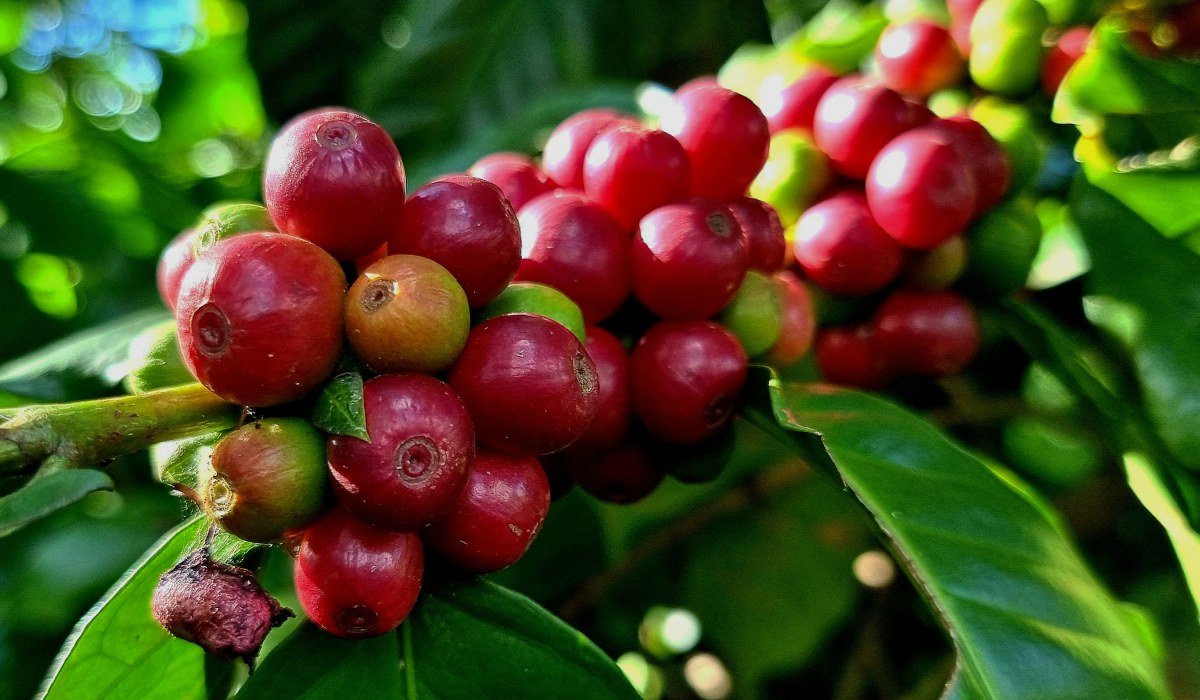 Aktiv und Abenteuer 2025 (10)