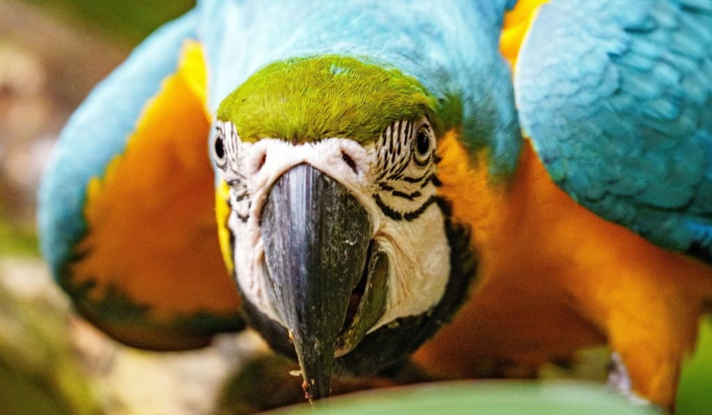 Barranquilla in Kolumbien – Reisefuhrer 20259 - Kolumbien Individual