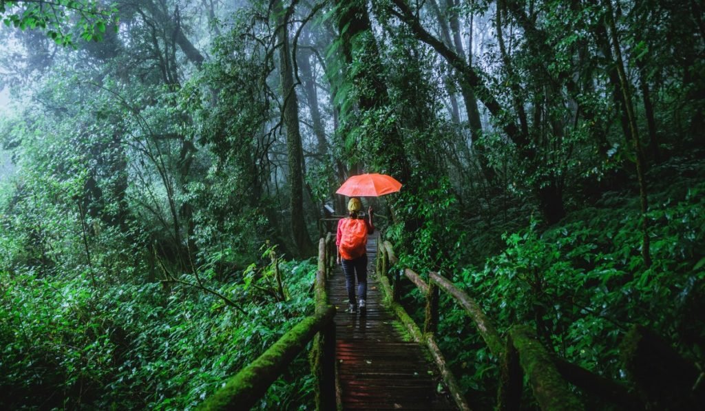 Kolumbien Packliste – Alles Wichtige für Ihr Reisegepäck (2)