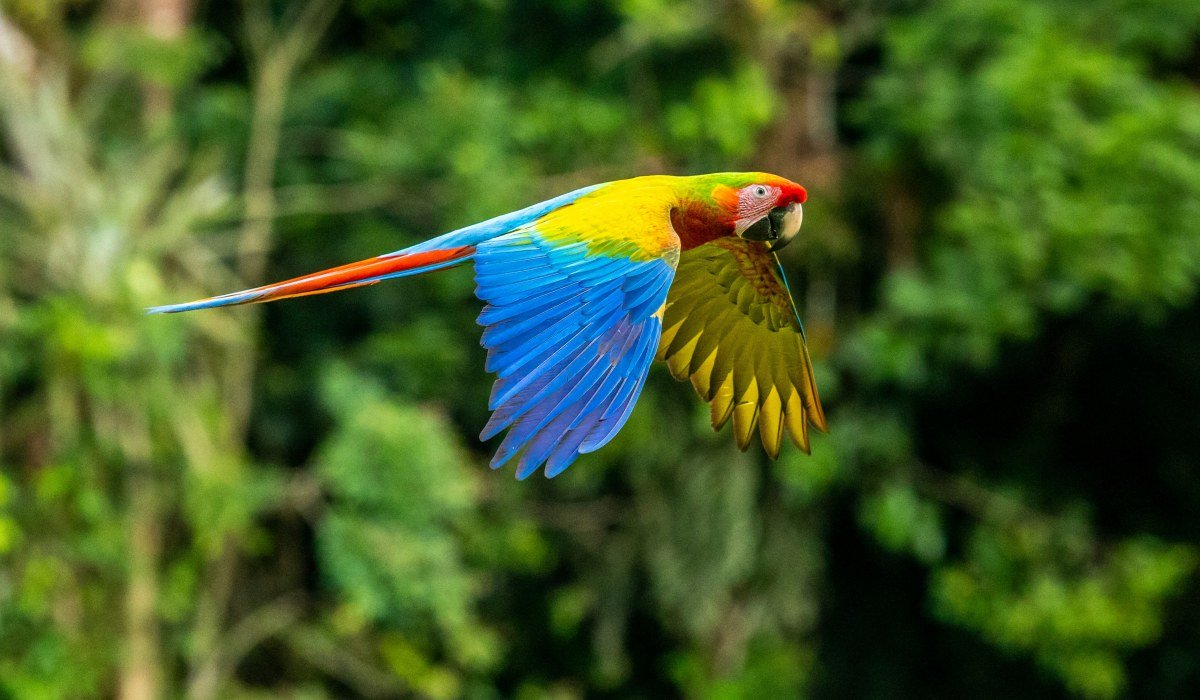 Kombireise Kolumbien, Costa Rica und Panama- 22 tage (12)