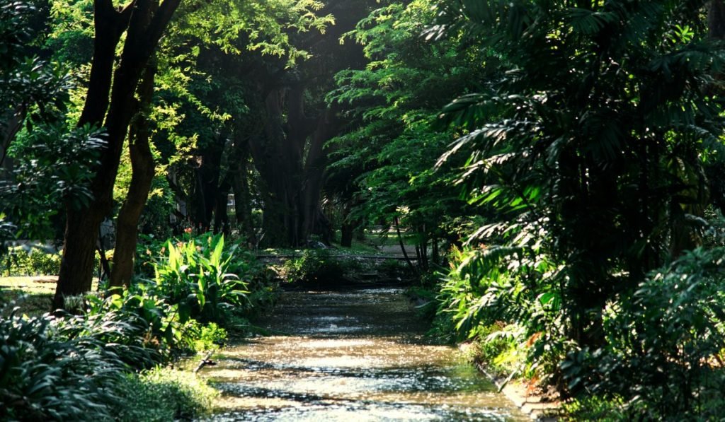 Leticia Reiseführer 2025 – Kolumbiens Dschungel erleben